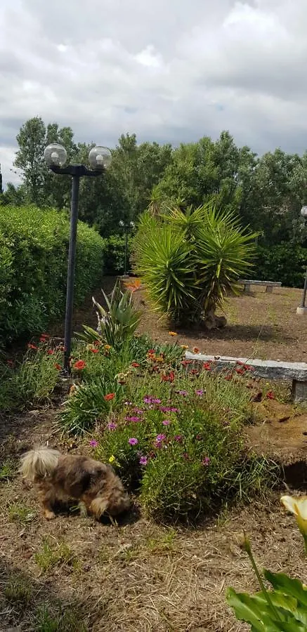 Сasa de vacaciones La Rosa Dei Venti Hotel Alguer